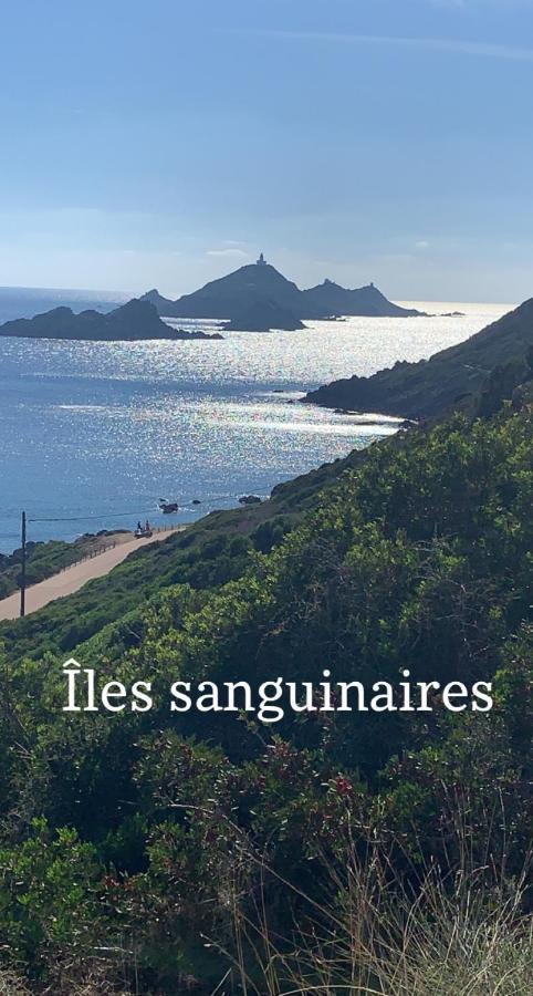 Magnifique Appartement Vue Mer, Spacieux Et Traversant อฌักซิโอ้ ภายนอก รูปภาพ